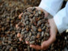 San Francisco Cuapan te espera el Viernes Santo en la Feria del Cacao