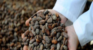 San Francisco Cuapan te espera el Viernes Santo en la Feria del Cacao