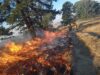 Liquidan incendio en Cerro Zapotecas