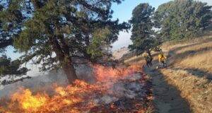 Liquidan incendio en Cerro Zapotecas