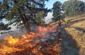 Liquidan incendio en Cerro Zapotecas