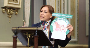 Proteger del maltrato a los animales de grandes especies propone Lupita Leal