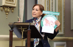 Proteger del maltrato a los animales de grandes especies propone Lupita Leal