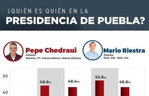 Aventaja Pepe Chedraui en cinco encuestas.