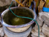 Reporta Salud 22 nuevos contagios por dengue