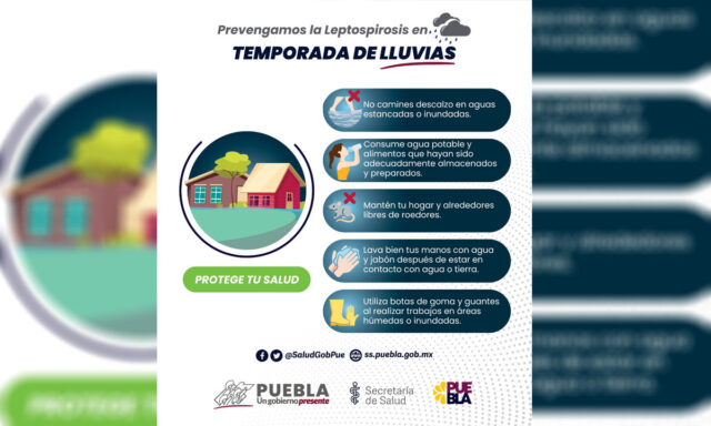 Lluvias