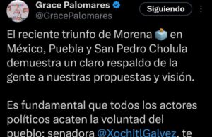 Vía redes, morenistas apoyan a Tonantzin Fernández