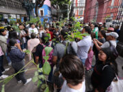 Armenta regala 1,500 árboles en Puebla