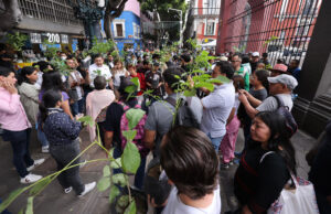 Armenta regala 1,500 árboles en Puebla