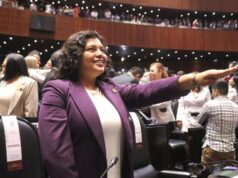 Asume Karina Pérez como diputada federal