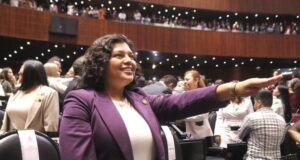 Asume Karina Pérez como diputada federal