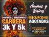 Cuautlancingo cerrará Festival Ánimas y Raíces con actividades deportivas el 3 de noviembre