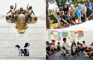Laika y Klein, las coterapetuas caninas del SMDIF Puebla se jubilan