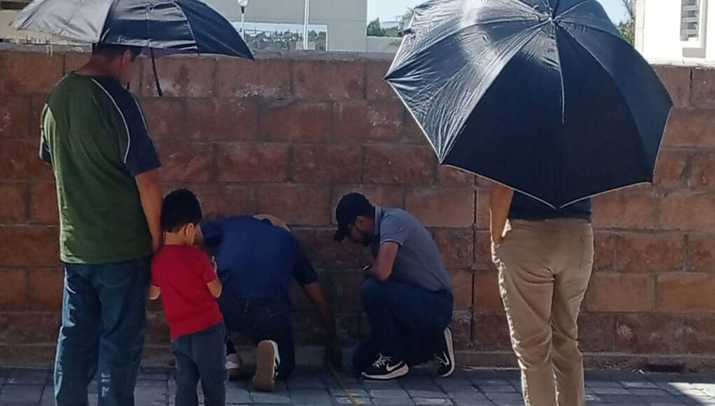 Vecinos-Chapulco