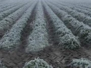 Frente frío 15 provoca descenso de temperatura y lluvias en Puebla