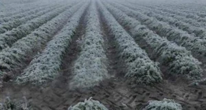 Frente frío 15 provoca descenso de temperatura y lluvias en Puebla
