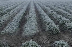 Frente frío 15 provoca descenso de temperatura y lluvias en Puebla