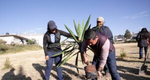 Con siembra de 1,200 árboles, Lupita Cuautle fomenta entornos sanos