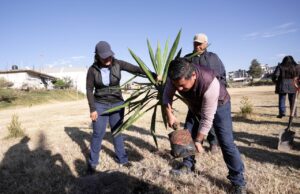 Con siembra de 1,200 árboles, Lupita Cuautle fomenta entornos sanos