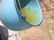 Suman 4 mil 677 casos acumulados de dengue en Puebla