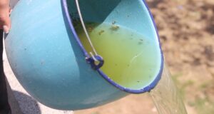 Suman 4 mil 677 casos acumulados de dengue en Puebla