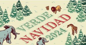 Invita Gobierno de Cholula a participar en la iniciativa “Verde Navidad”
