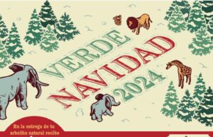 Invita Gobierno de Cholula a participar en la iniciativa “Verde Navidad”