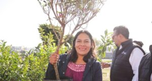 Participan sanandreseños en “Adopta un árbol”