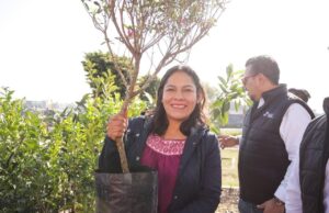 Participan sanandreseños en “Adopta un árbol”