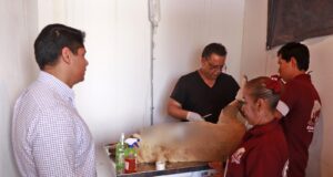 Condenan ataque contra lomito en Cuautlancingo