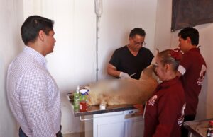 Condenan ataque contra lomito en Cuautlancingo
