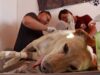 Indignación por el ataque contra “Gordita”
