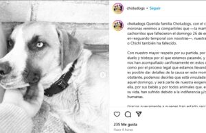Fallece Chichi, aseguran fue de tristeza