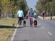 Más de 5 mil personas participaron en la Vía Recreativa Metropolitana
