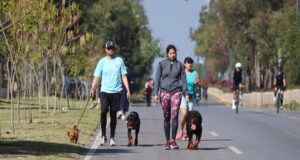 Más de 5 mil personas participaron en la Vía Recreativa Metropolitana
