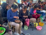 Pela de nuez se convierte en atractivo para Yancuitlalpan