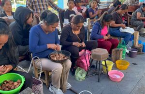Pela de nuez se convierte en atractivo para Yancuitlalpan