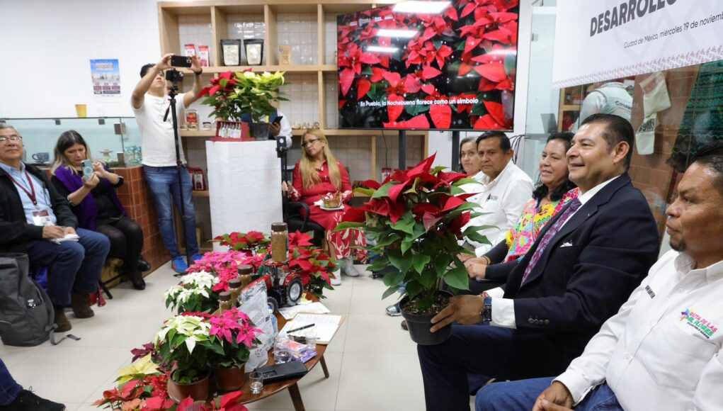 WhatsApp Image 2025-11-19 at 6.31.32 PM (1)