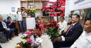 Gobierno de Puebla potencia producción de Nochebuena y consolida a Atlixco como líder nacional