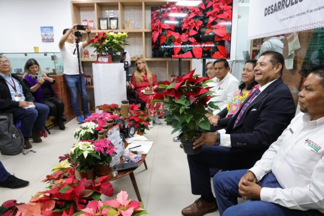 WhatsApp Image 2025-11-19 at 6.31.32 PM (1)