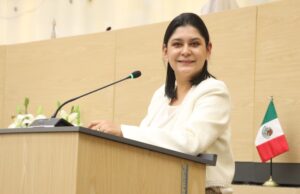 Reconocer la rapiña como delito, propone la diputada Ana Lilia Tepole