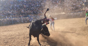 Cancelan jaripeo y pamplonada de Feria de Ocotepec