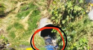 Encuentran sin vida a hombre en canal pluvial de Sanctórum