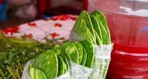 Se queda Tlaxcalancingo sin Feria del Nopal.