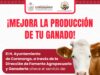 En Coronango, ofrecen herramienta para inseminación artificial