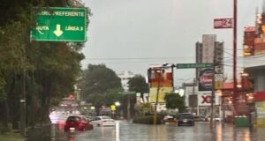 Puebla bajo el agua, fallece una persona por caída de árbol