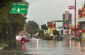 Puebla bajo el agua, fallece una persona por caída de árbol