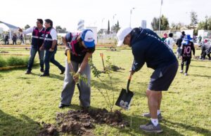 Realiza Lupita Cuautle jornada de reforestación en San Antonio Cacalotepec