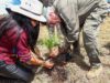 Tonantzin Fernández planta 600 árboles en Zapotecas