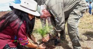 Tonantzin Fernández planta 600 árboles en Zapotecas
